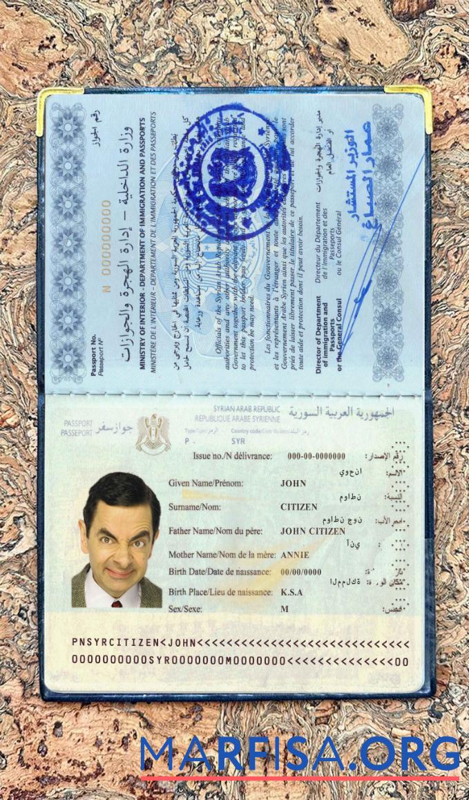 Downloadable Syria passport photo look real example